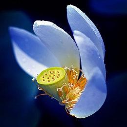 《王国》开发商RPG新作《公民沉睡者》公布新预告